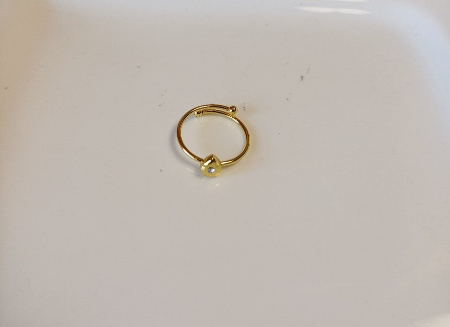 Drop Ring